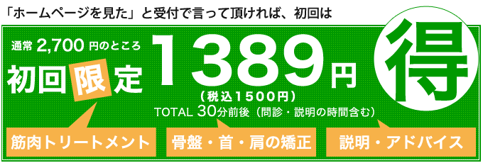 初回限定1,389円(税込1,500円)
